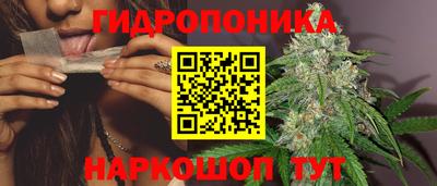 шишки Можайск
