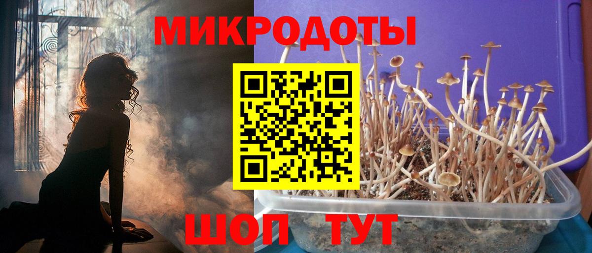 Галлюциногенные грибы Cubensis Приморско-Ахтарск